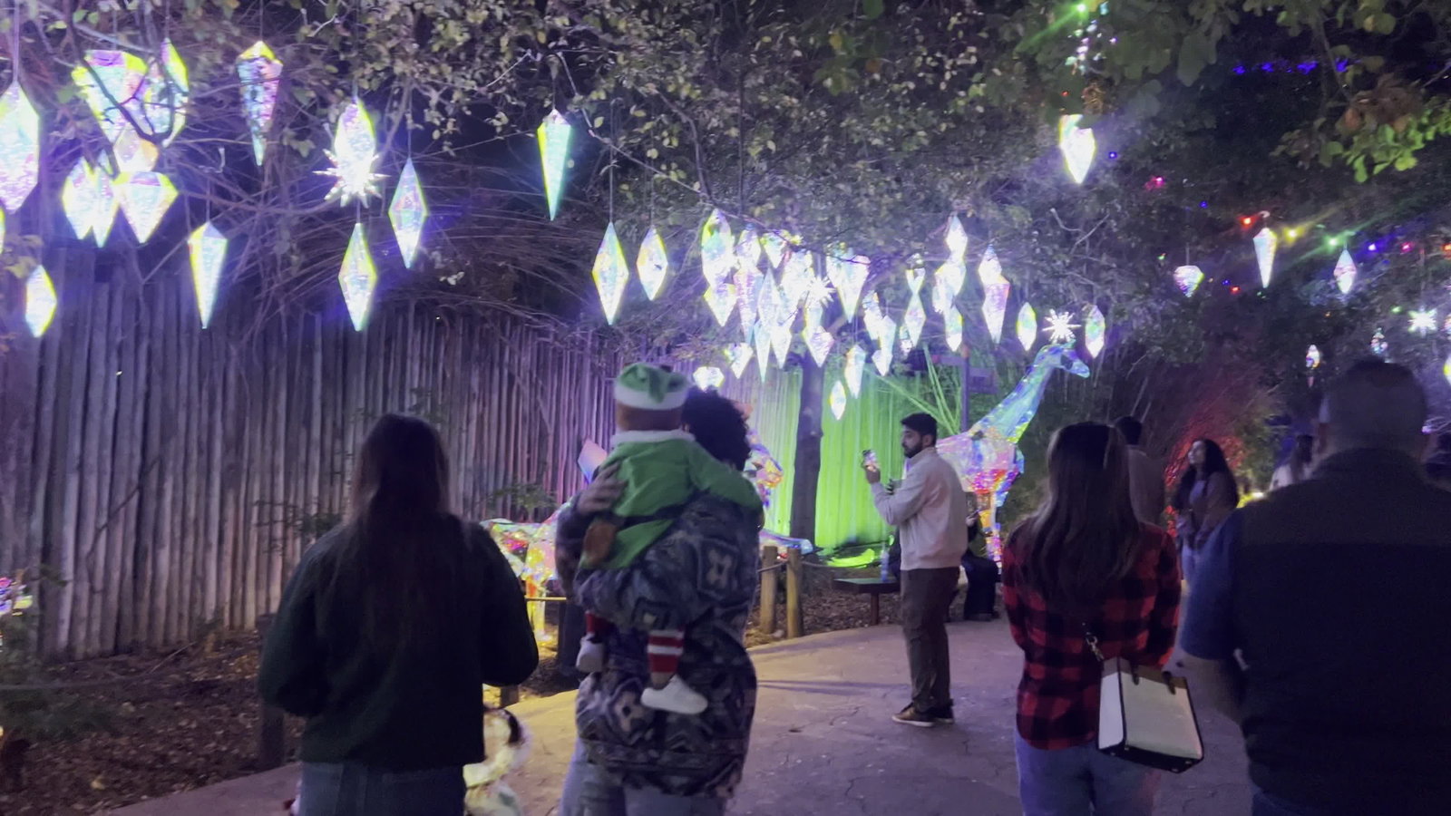 Video review of Houston Zoo