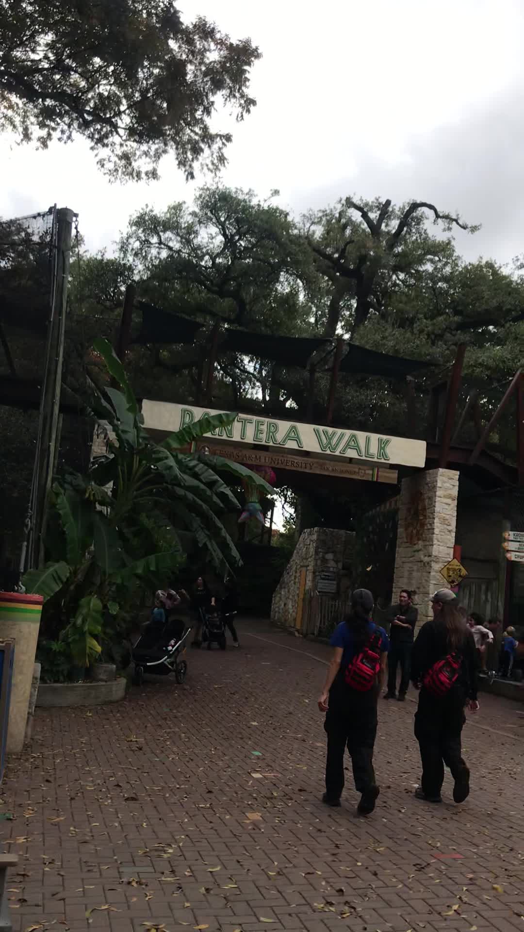 San Antonio Zoo