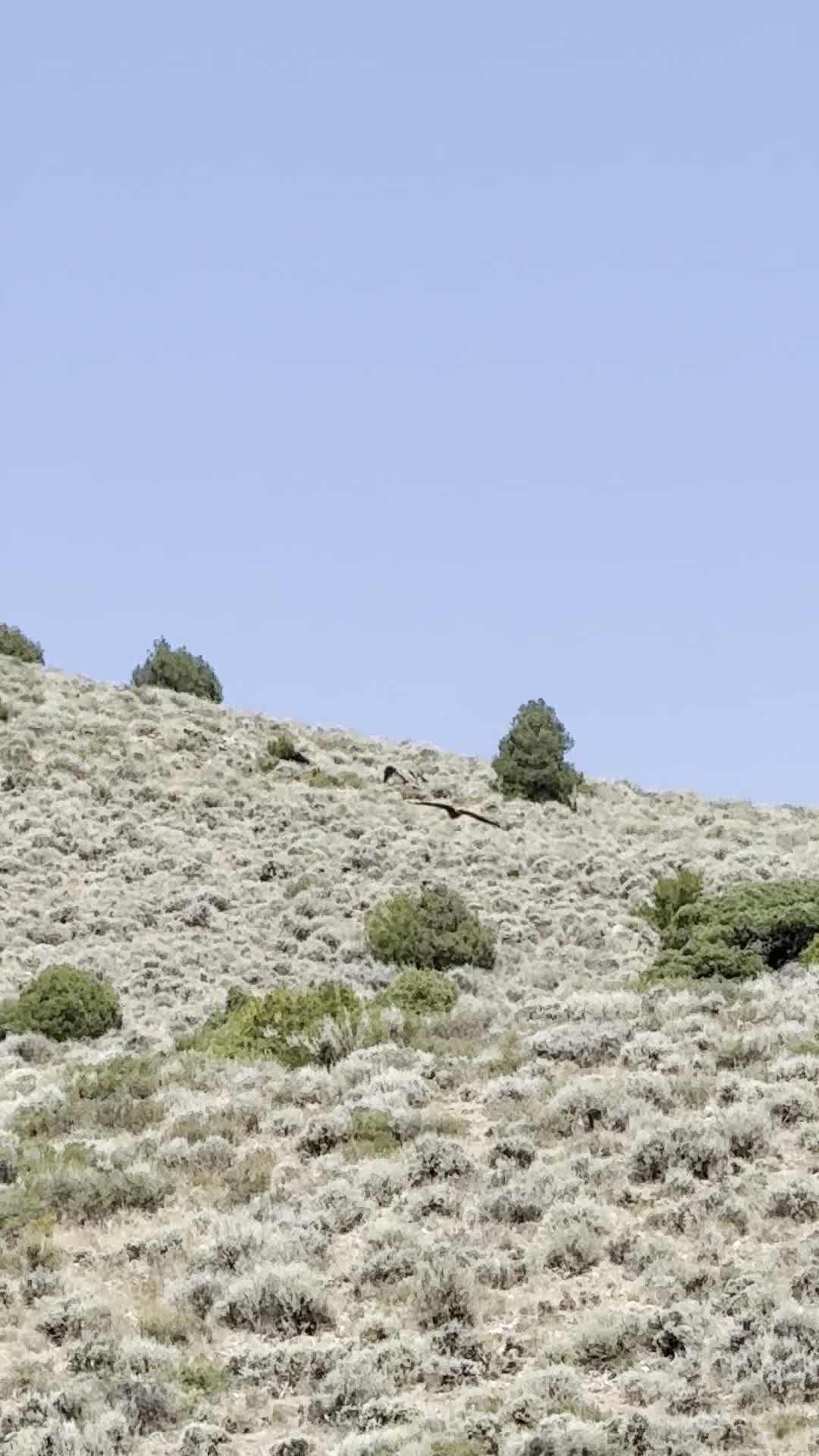 Video review of Georgetown Lake