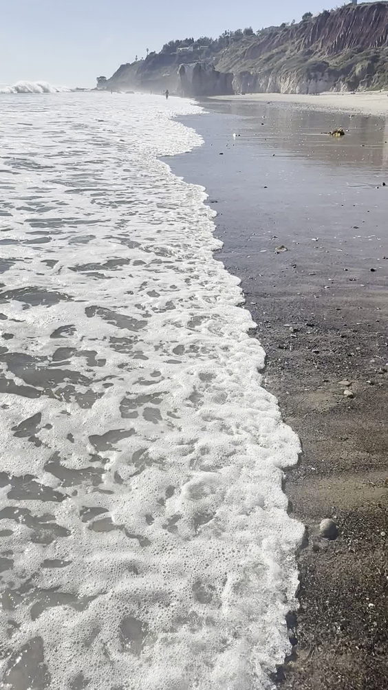Zuma Beach Food Stand