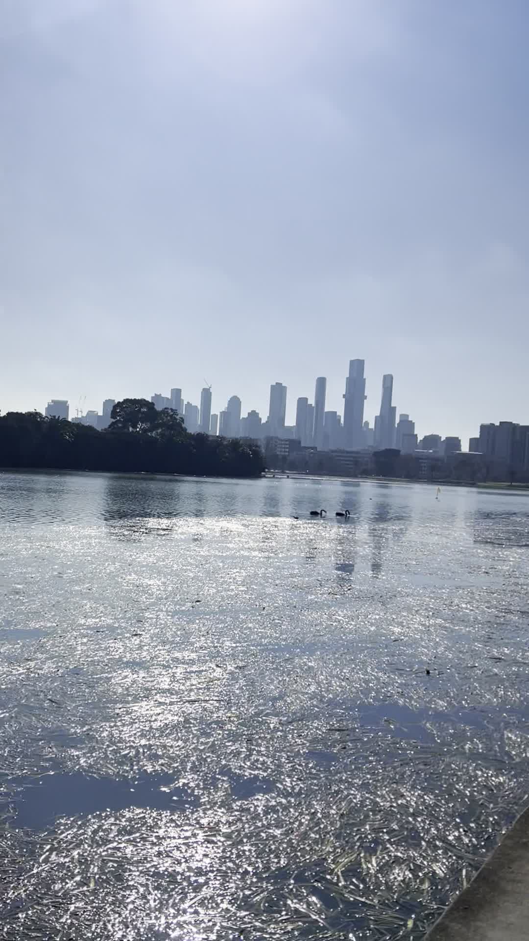 Albert Park Lake