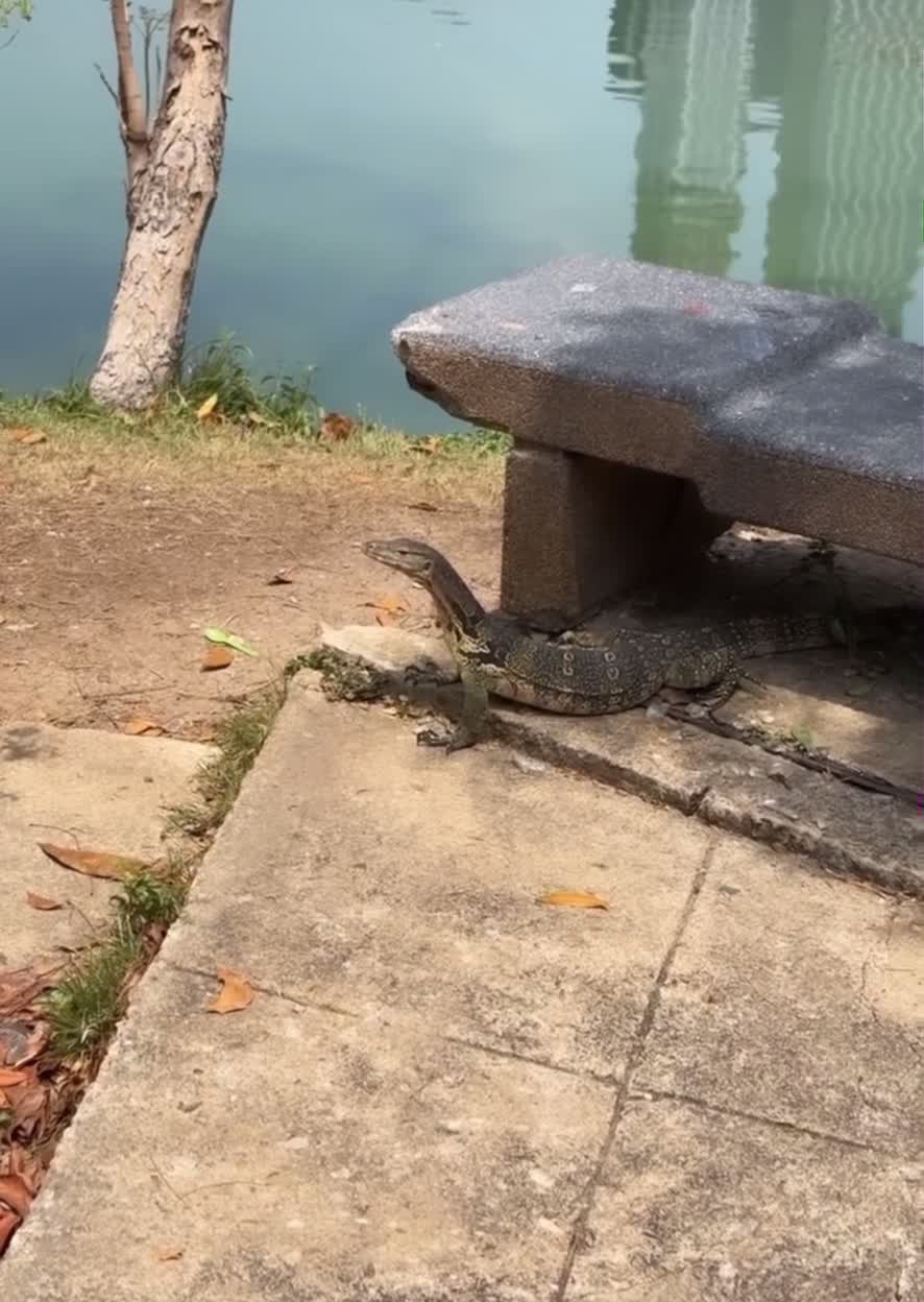 Lumpini Park Pinklao (ลุมพินี พาร์ค ปิ่นเกล้า)