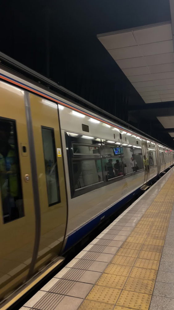 Gautrain Sandton Station