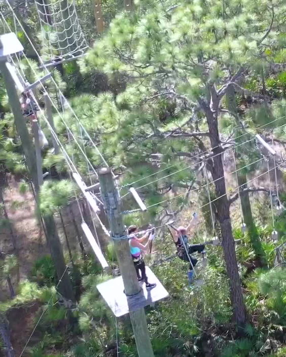 TreeUmph! Adventure Course