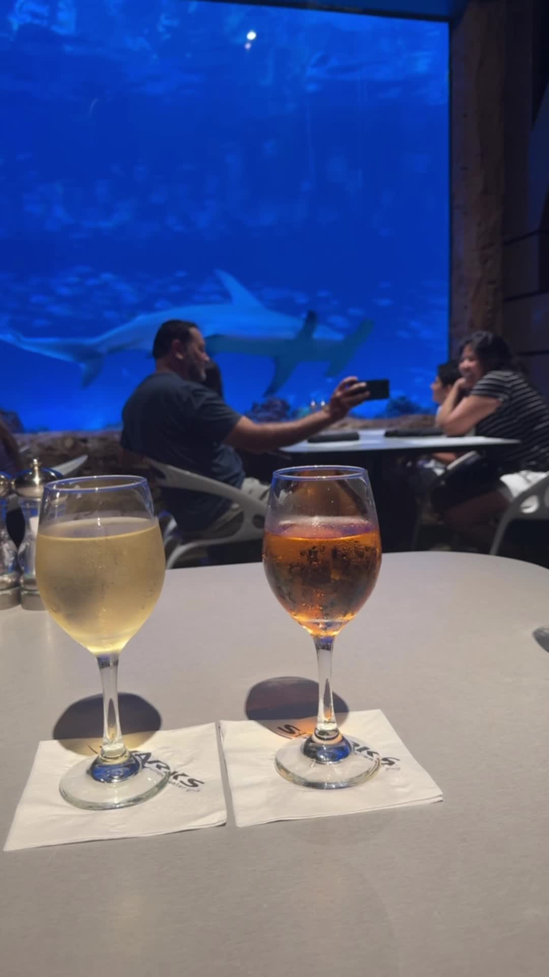 Sharks Underwater Grill