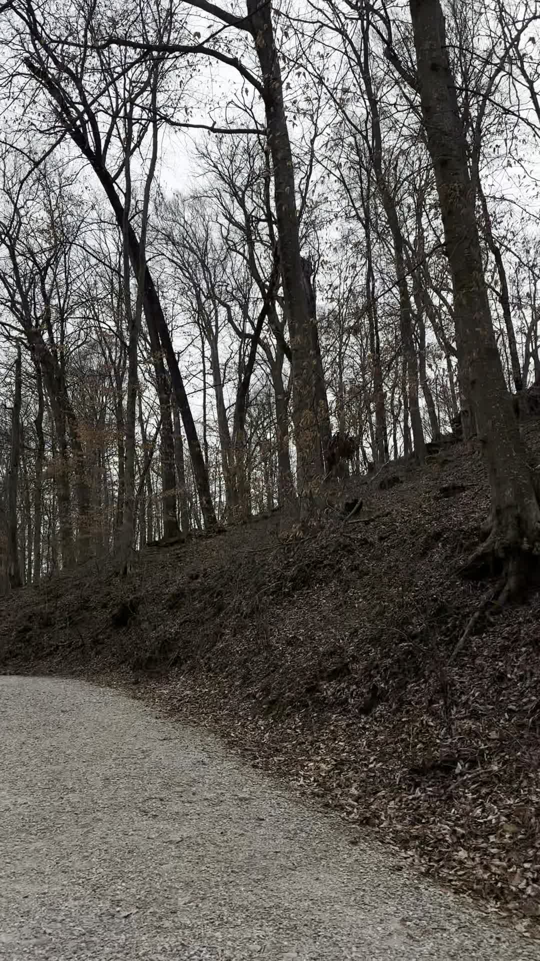 Iroquois Park