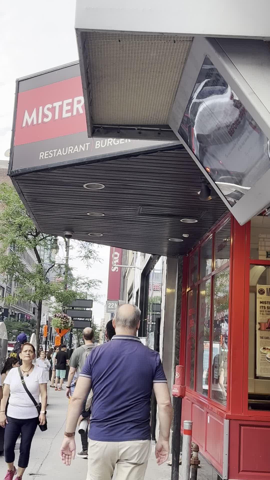 Mister Steer