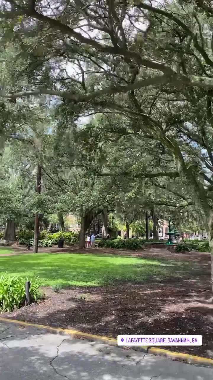 Video review of Lafayette Square