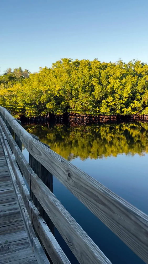 Emerson Point Preserve Observation Tower