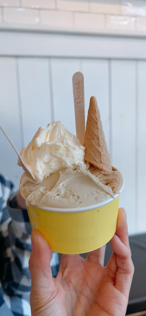 Video review of Gelateria Gentile