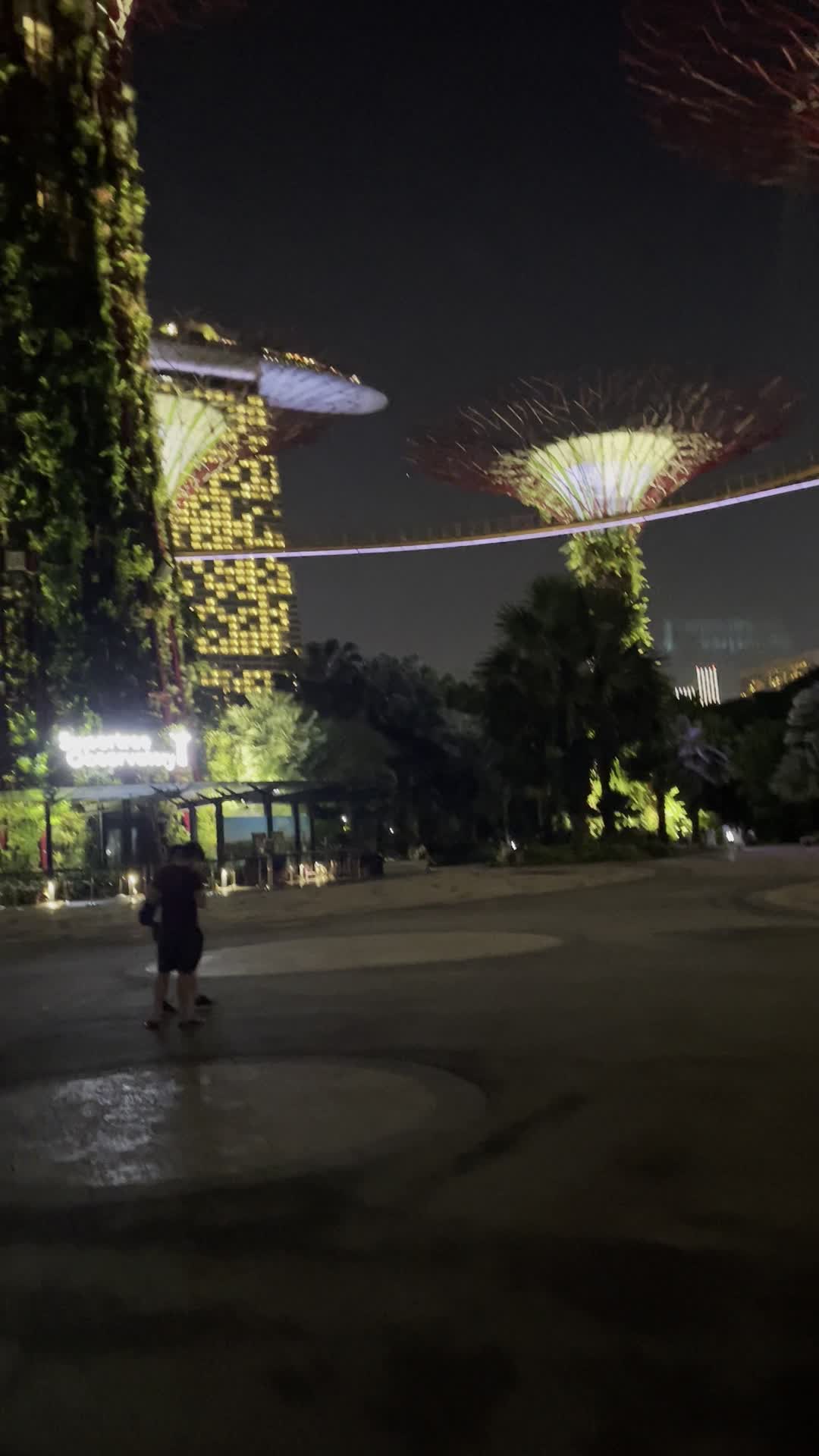 Supertree Observatory