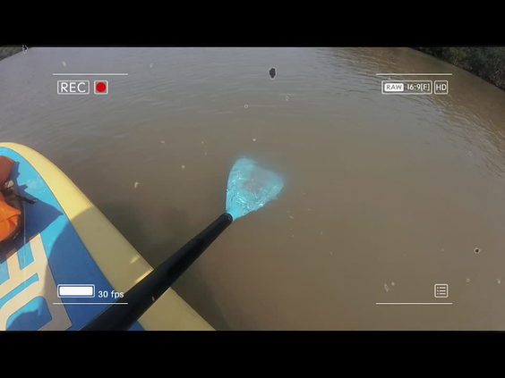 Kayak Excursions
