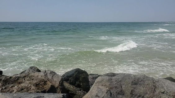 Fire island west end