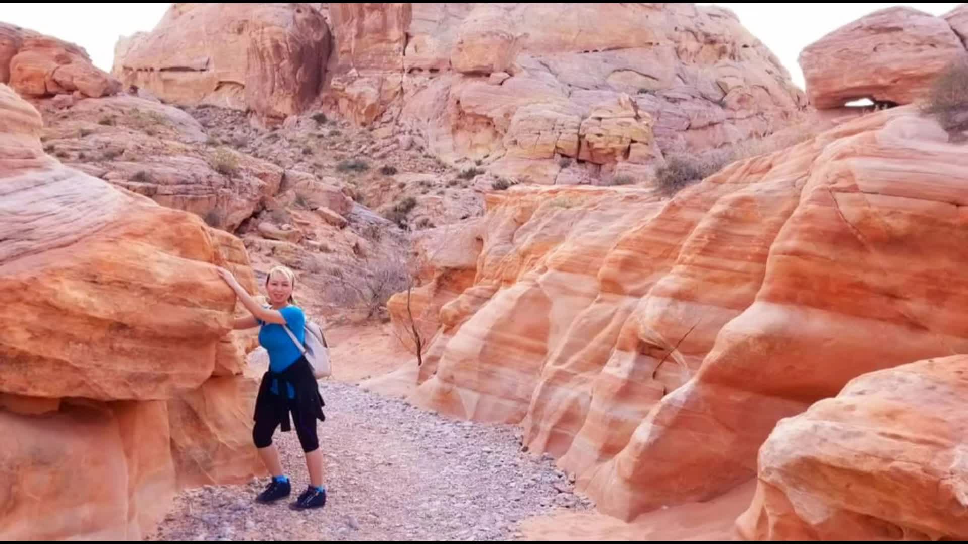 29450 Valley of Fire Rd, Overton, NV 89040