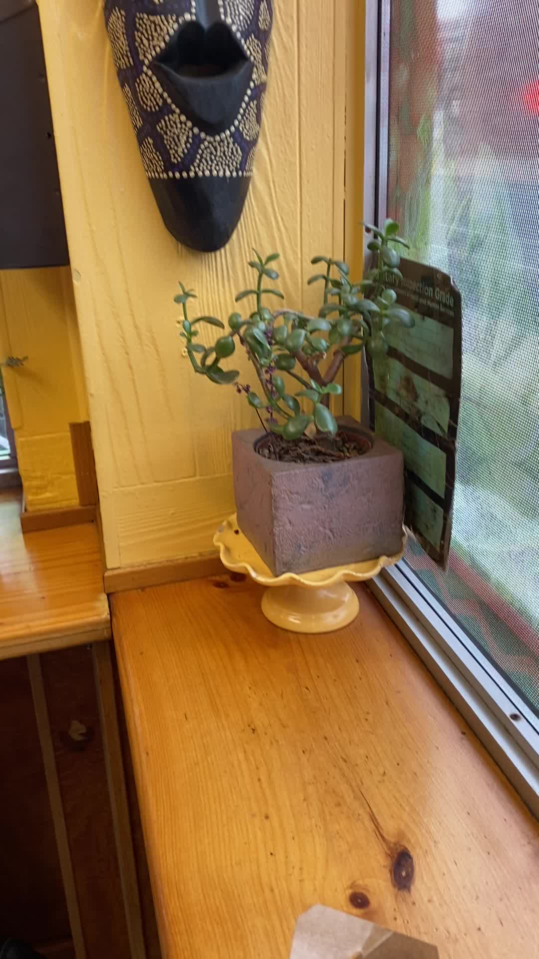 Fire-N-Spice Vegan Restaurant