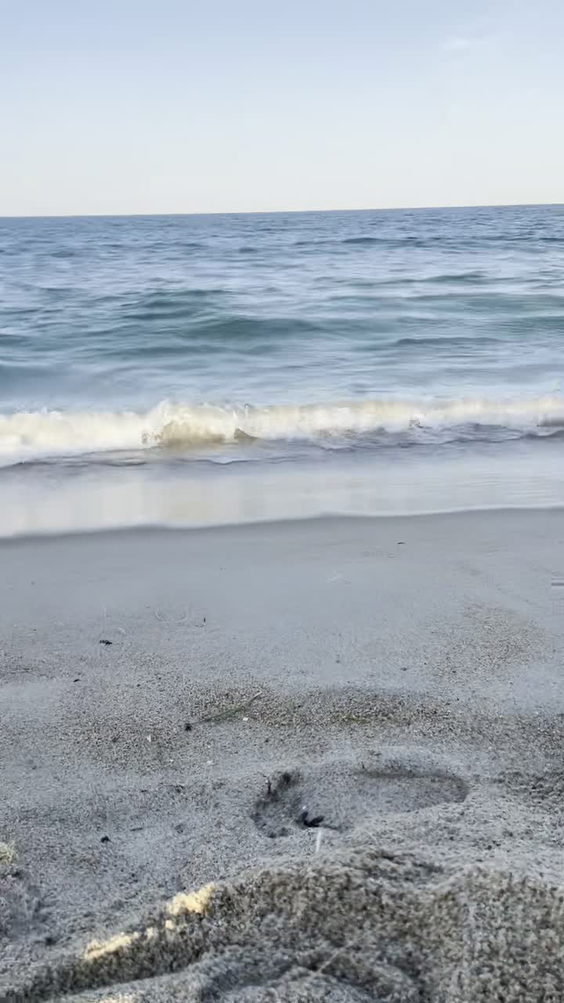 Michael's Oceanfront Motel