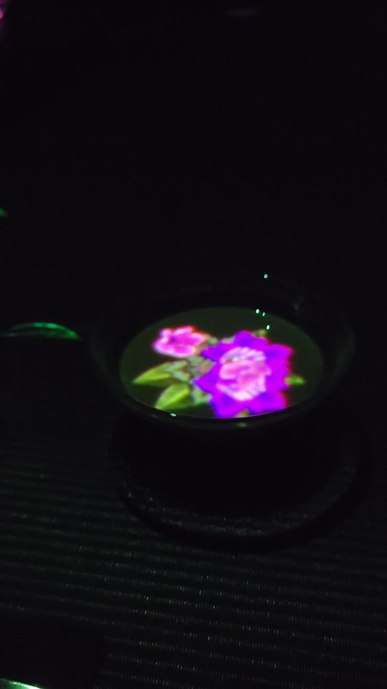 チームラボボーダレス (teamLab Borderless)