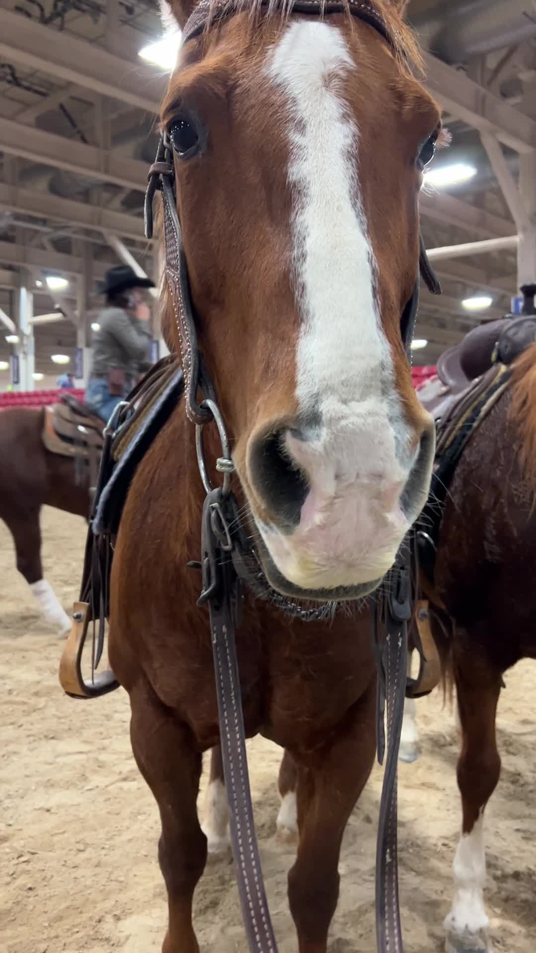 South Point Arena & Event Center