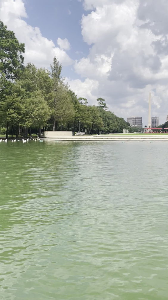 Hemann Park