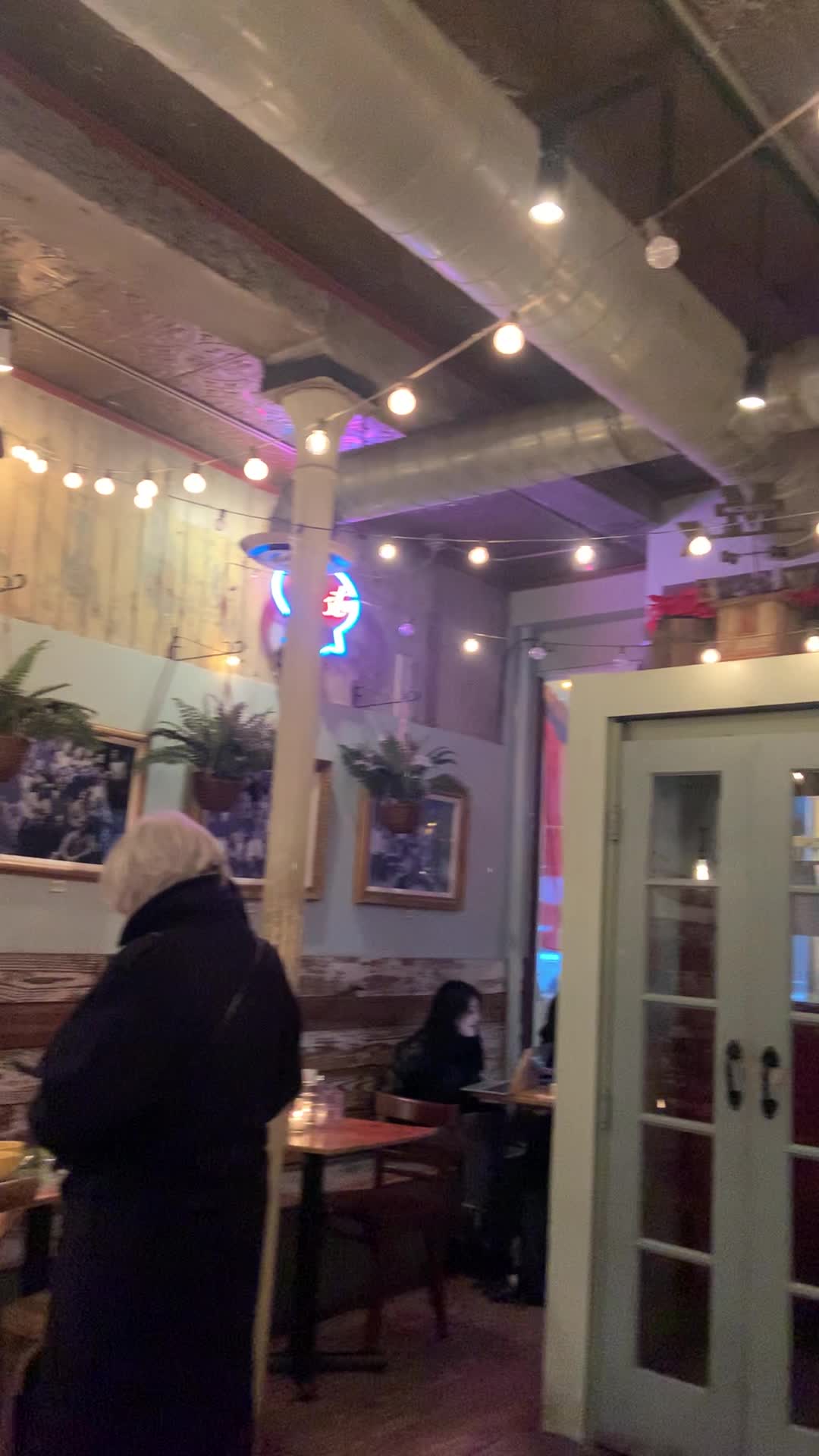 Video review of The Grey Dog