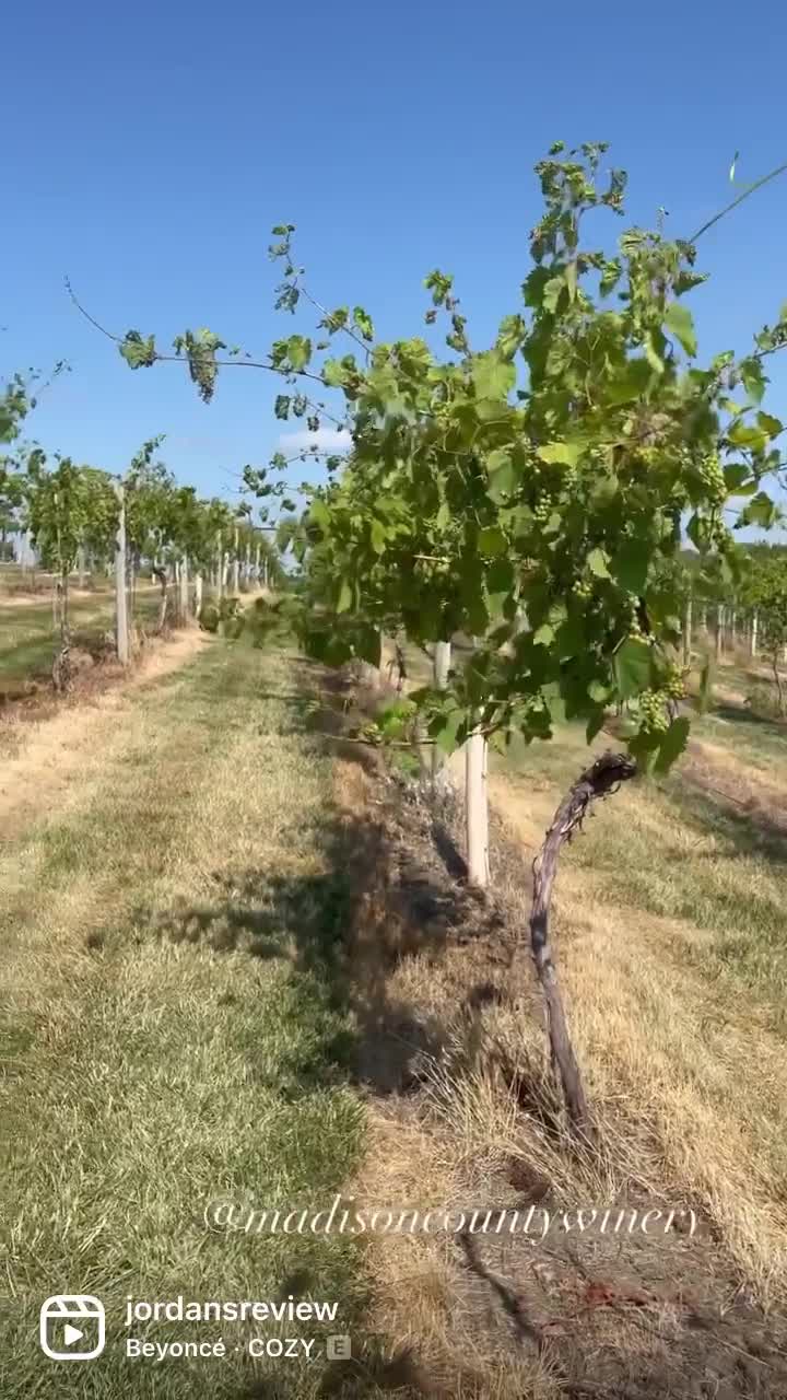Covered Bridges Winery