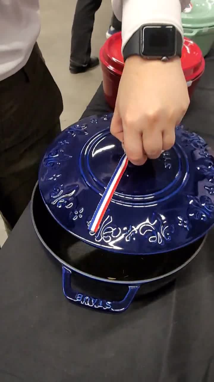 Video review of HomeSense