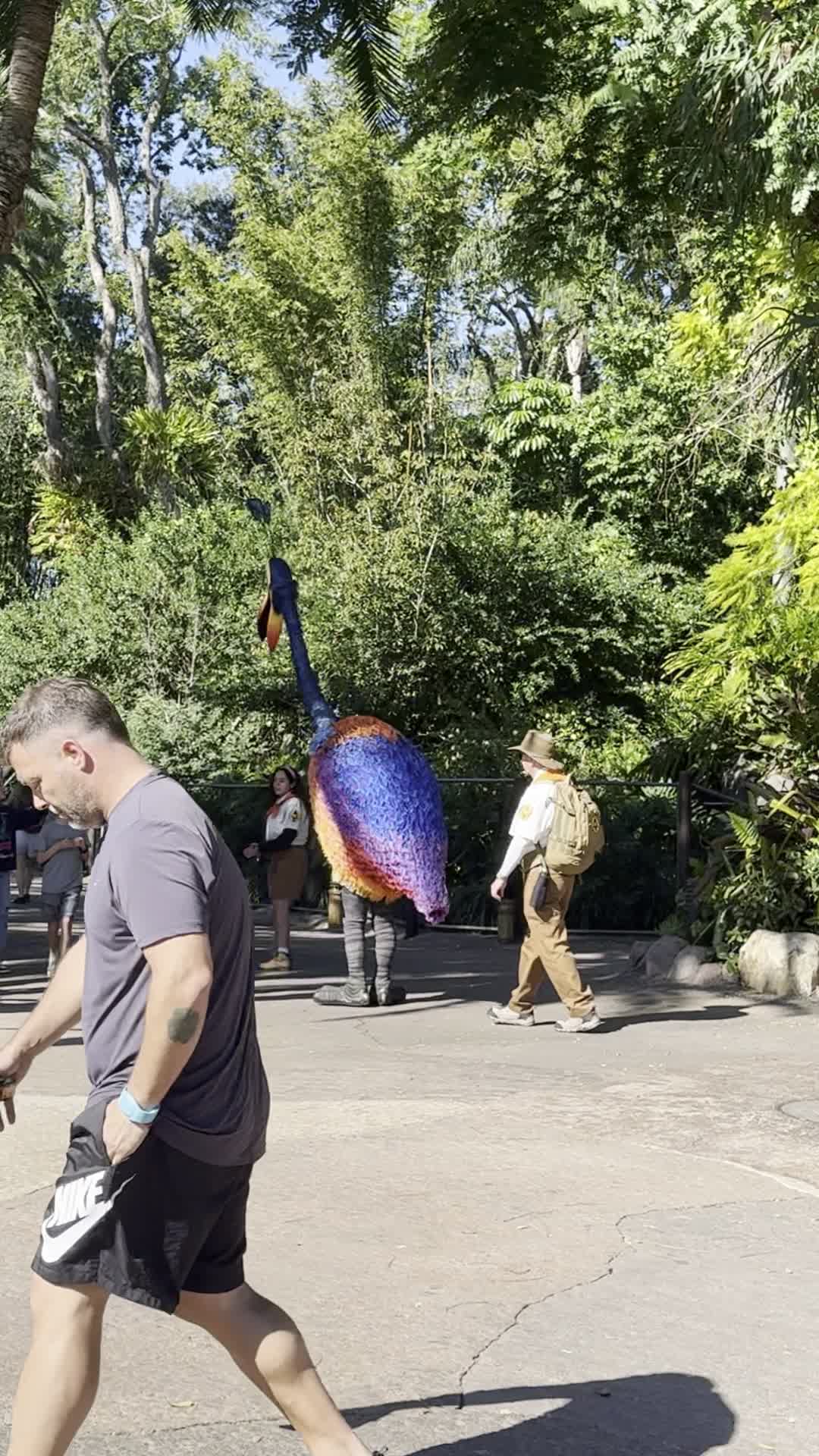 Disney's Animal Kingdom