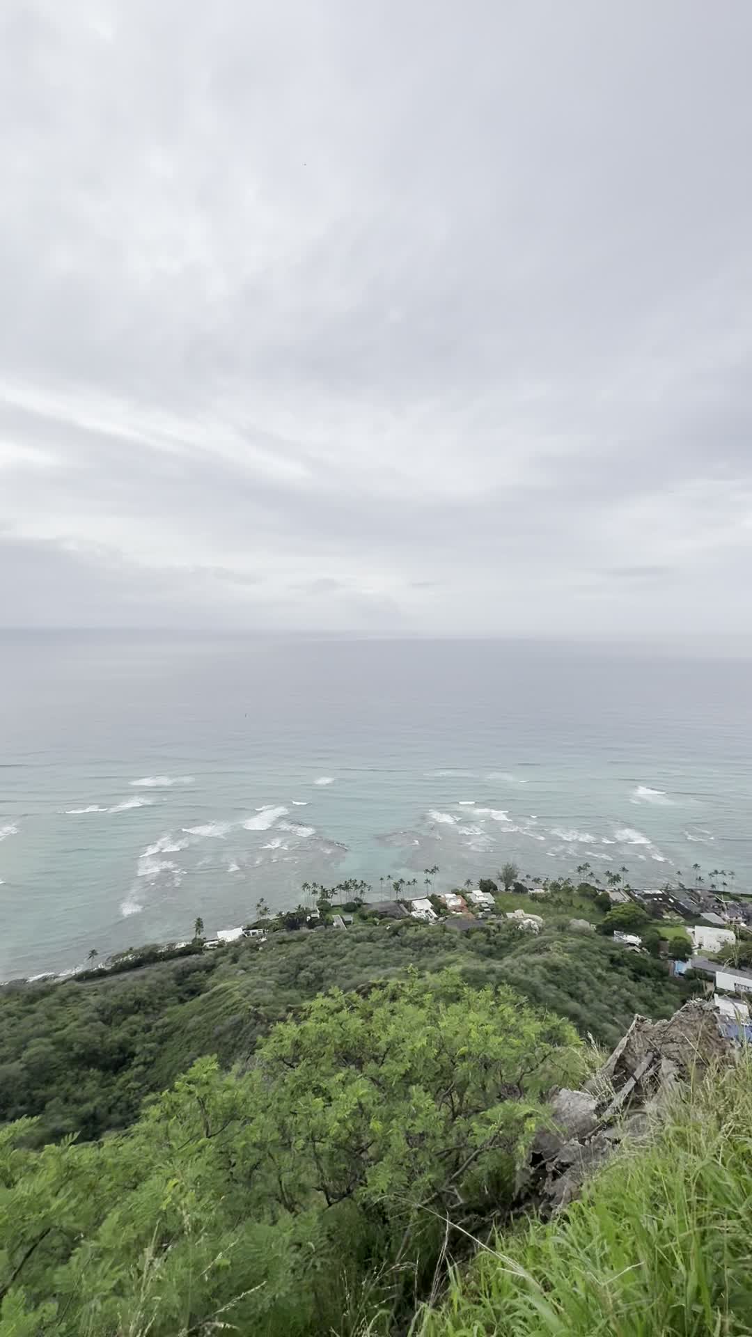 City Moment · Hawaiian Ocean View