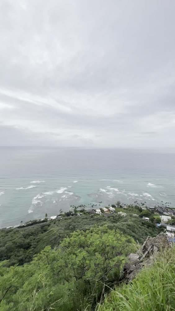 City Moment · Hawaiian Ocean View