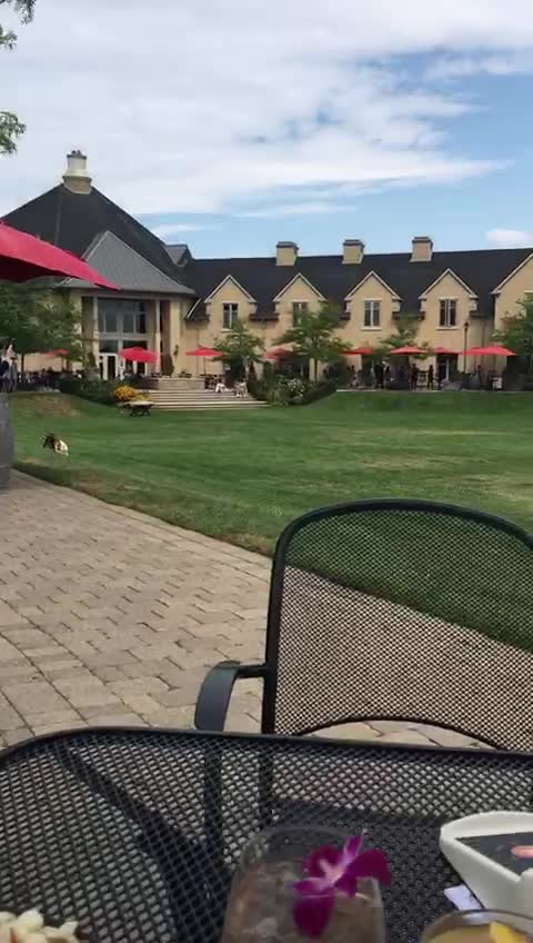 Video review of Peller Estates Winery