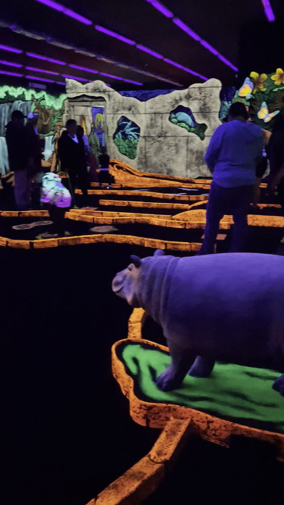 Jungle Adventure 3D Mini Golf