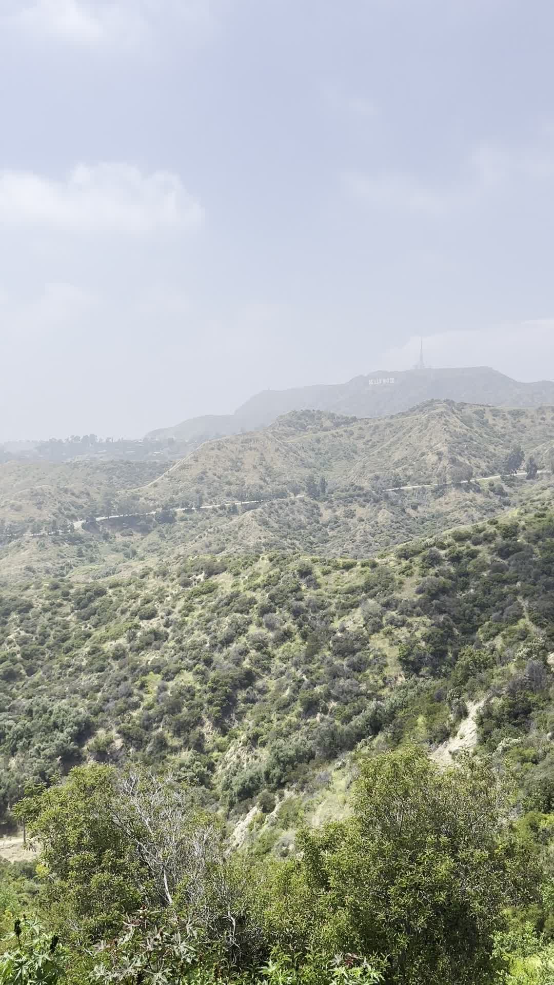Video review of Hollywood Sign