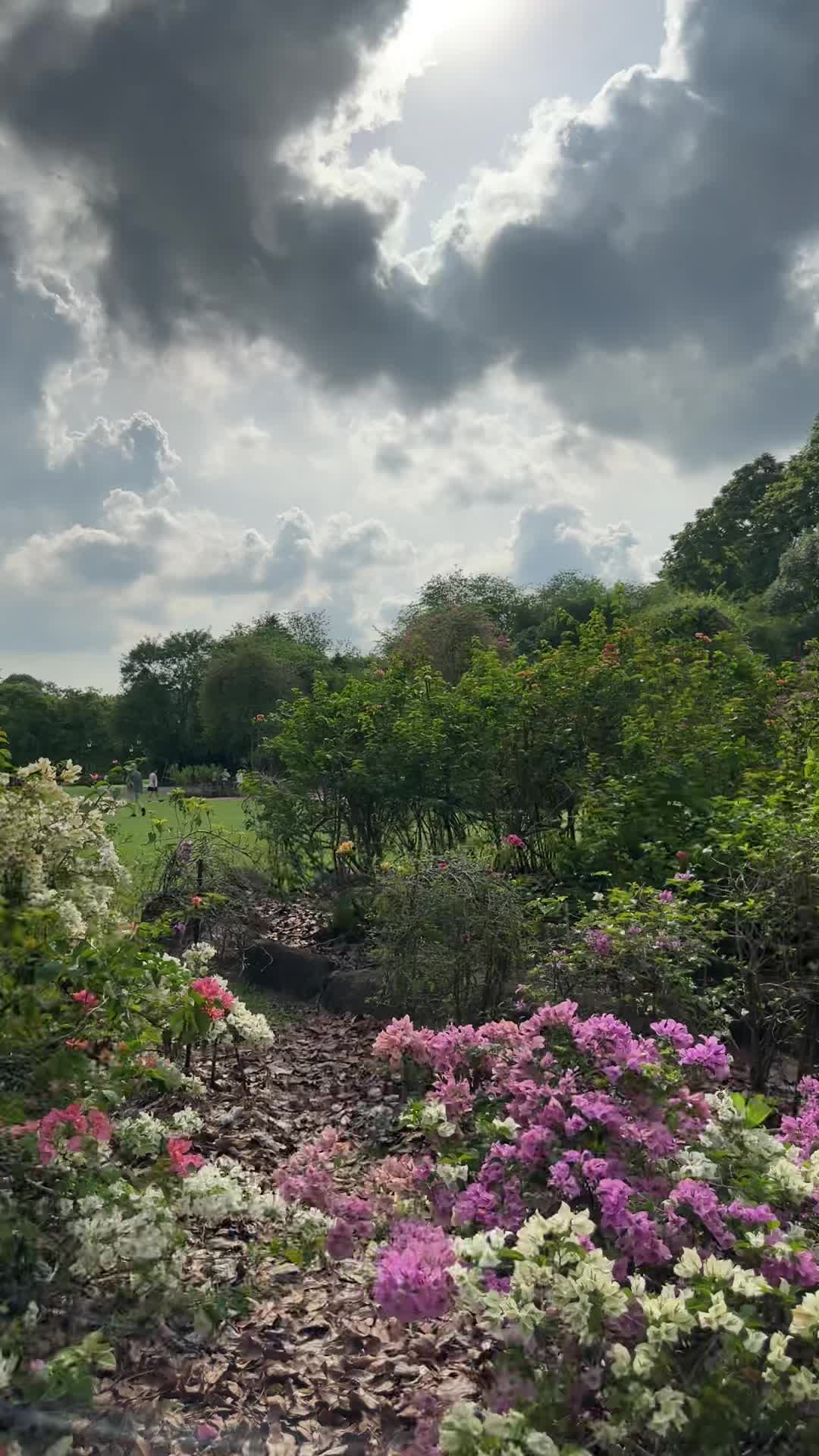 Singapore Botanic Garden