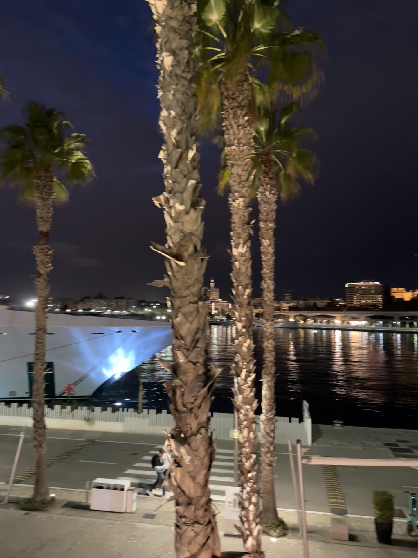Video review of Puerto de Málaga
