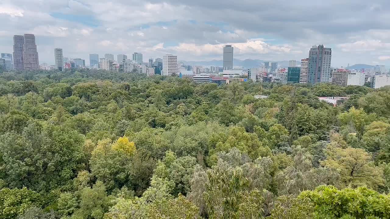 Chapultepec 540