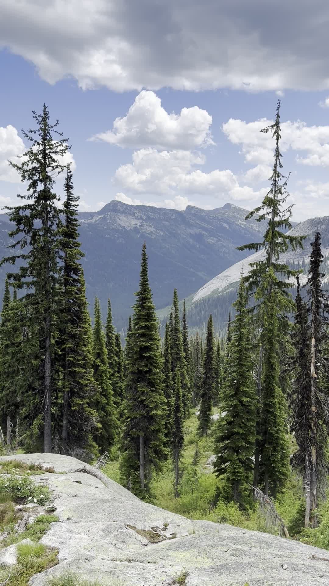 Harrison lake