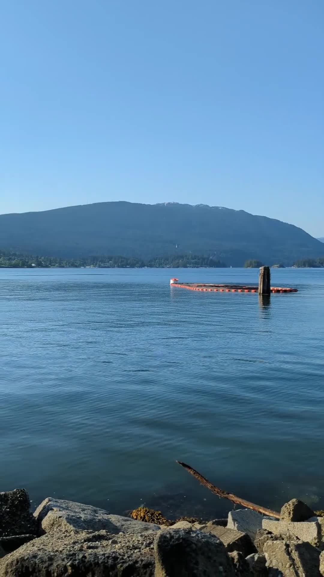 Barnet Marine Park