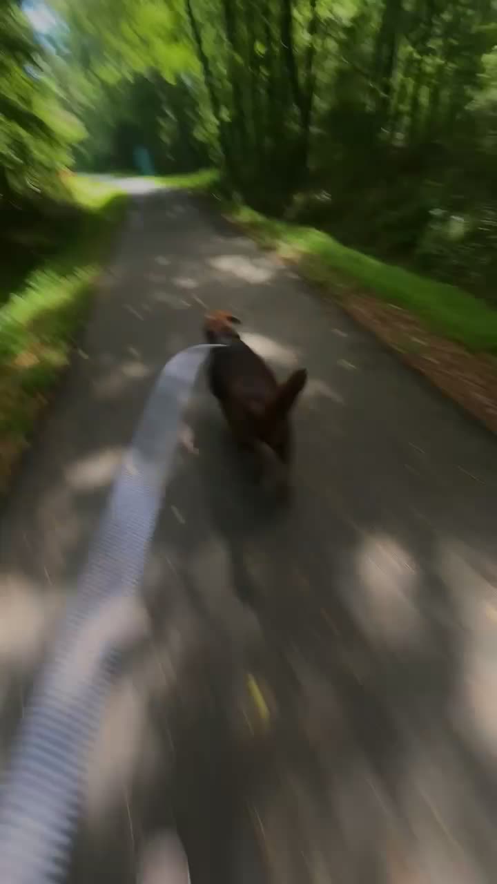 Wayne UNC Health Care