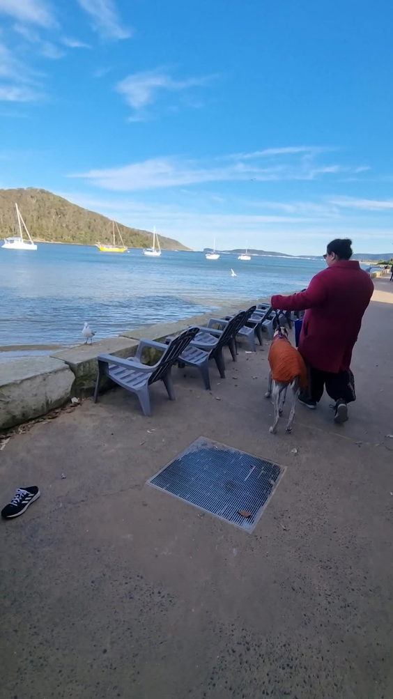 The BOX on the Water