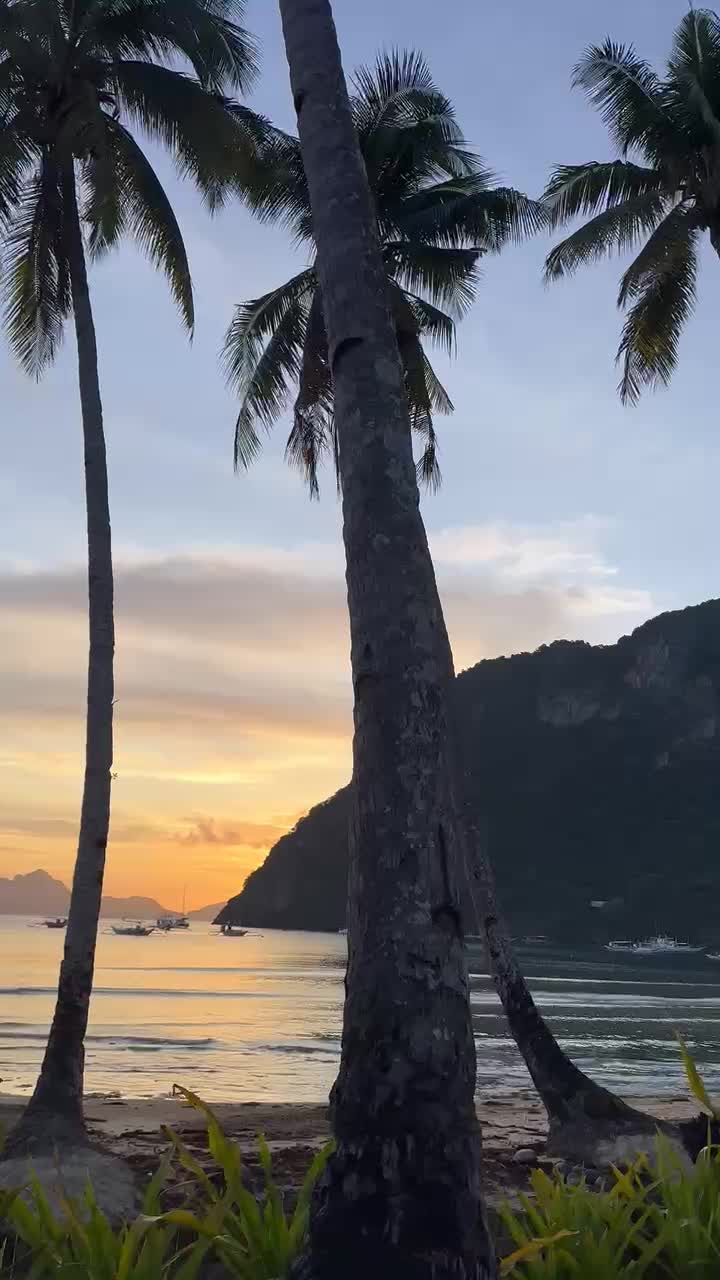 Calypso