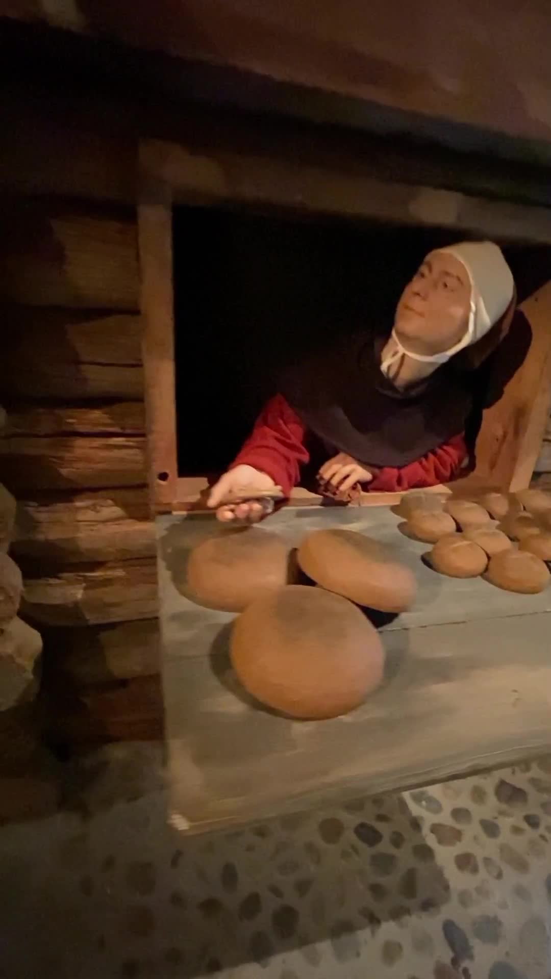 Video review of Museum of Medieval Stockholm (Medeltidsmuseet)
