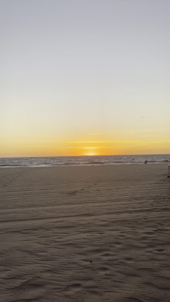 Dockweiler State Beach