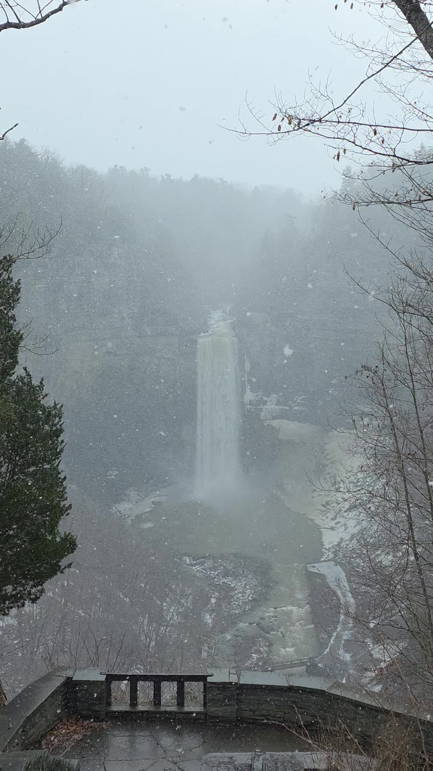 Taughannock Falls State Park
