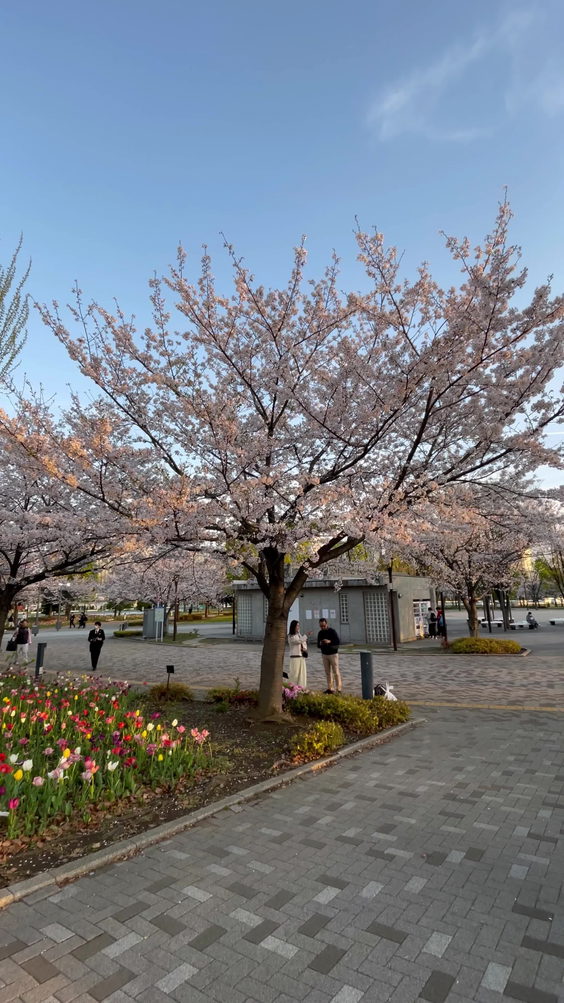 Odaiba Rainbow Park (お台場レインボー公園)