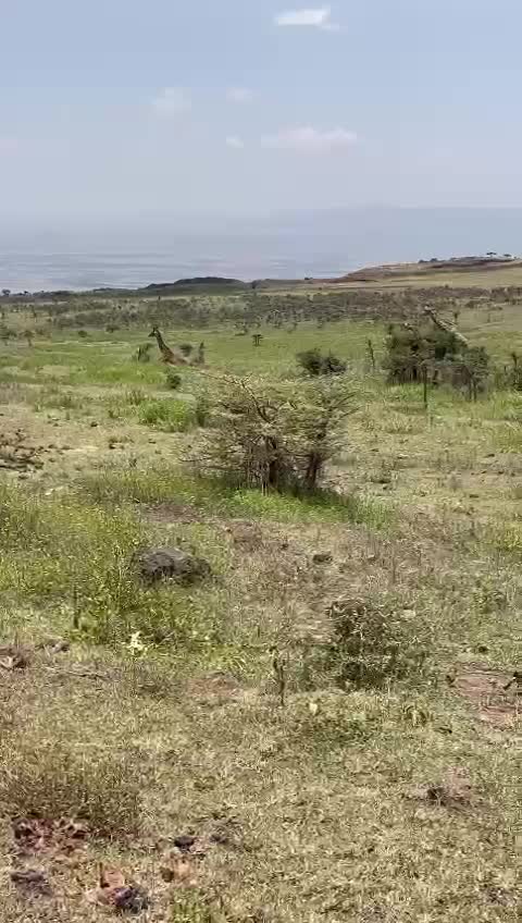 Coco Beach Mihogo Venue