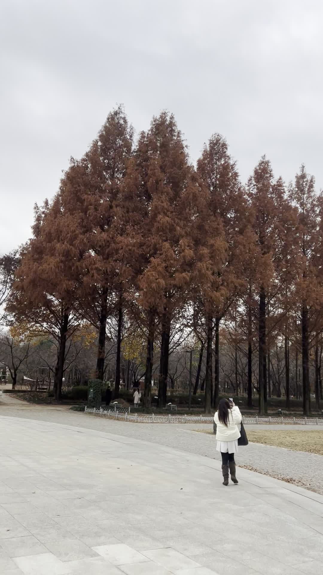 Seoul Forest
