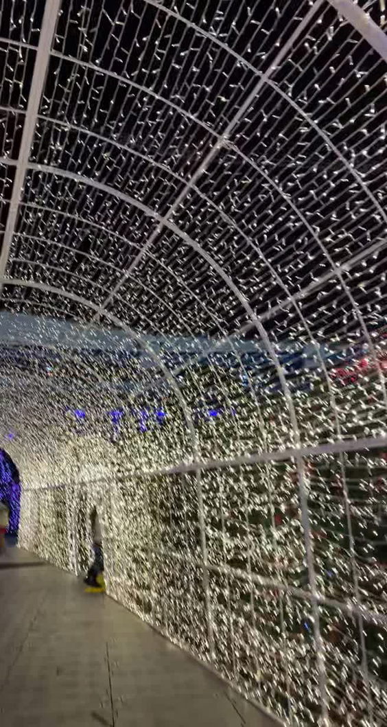 Enchant Christmas