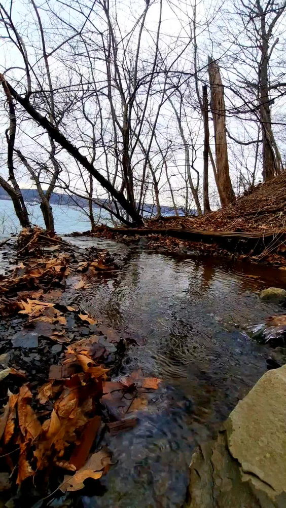 Sims-Jennings Preserve at Cayuga Cliffs