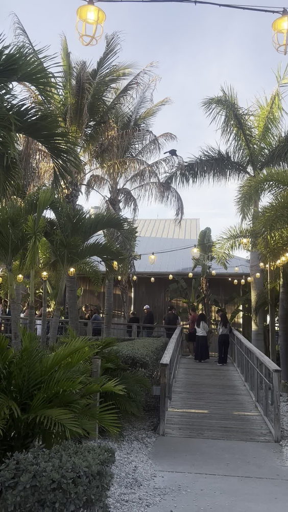 City Moment · Tampa