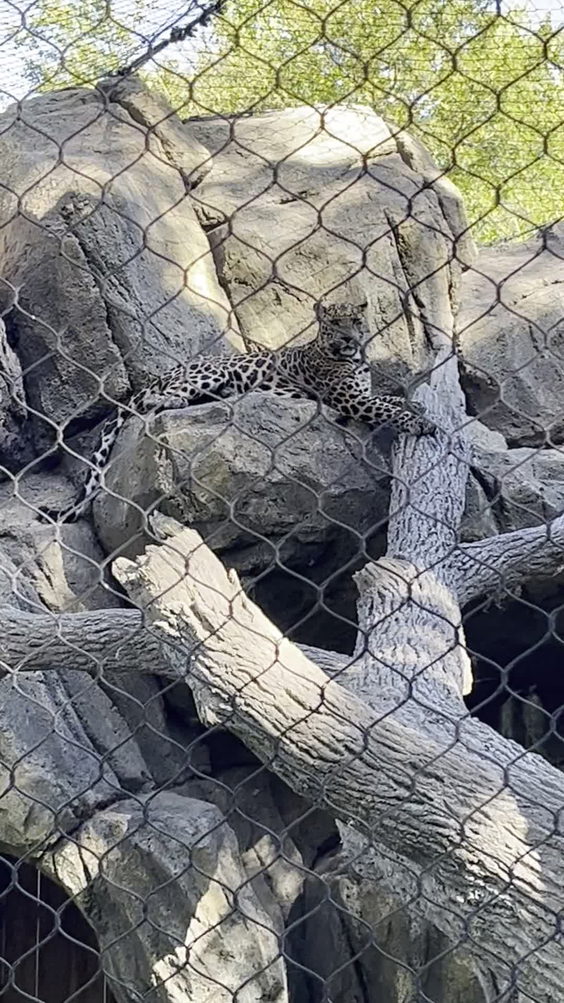 Fort Worth Zoo